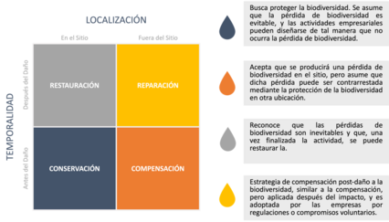 Draft Ayuso 749341545-image2.png