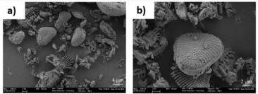 Draft Fenollar Gimeno 191493541-image7.png