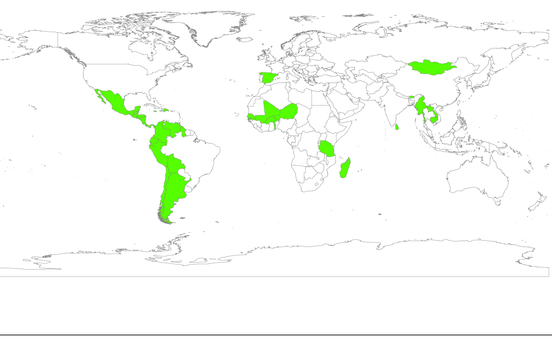 Draft Samper 474784898-image247-c.png