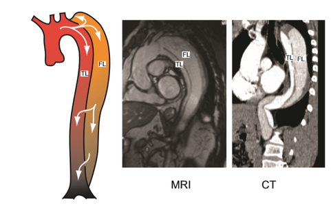 Draft Samper 411837410-image38.png