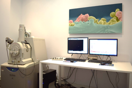 Draft Compuestos 336638469-image6.png