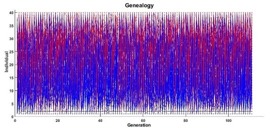 Draft ARAUJO 147425830-image24-c.jpeg