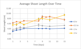 Draft Melika 433147401-image6-c.png