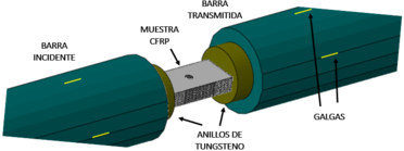 Draft Rodriguez Sereno 535670714-image3.png