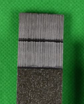 Caamano et al 2017a-image22.png