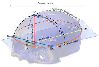 Draft HERNANDEZ-N 472283860-image2.jpeg