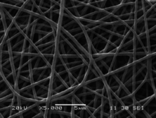 Draft PEREZ-MARQUEZ 903100914-image2.png