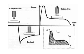 Review 285647720657-image7.png