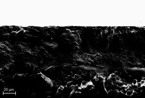 Draft Compuestos 545543349-image10.png