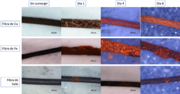 Draft Compuestos 926173094-image5.png