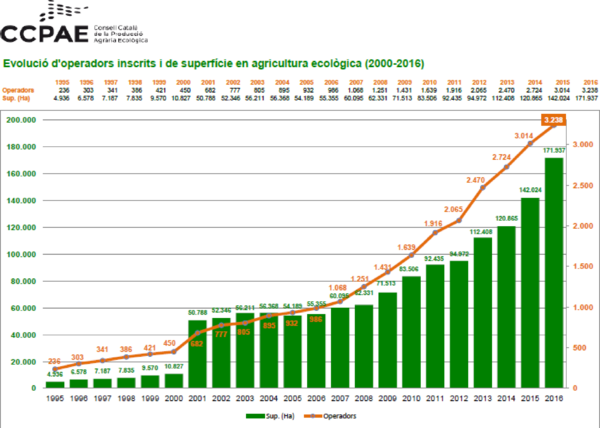 Draft Domingo 551518317-image10.png