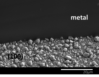 Maiorano Molina 2021a-image9.png