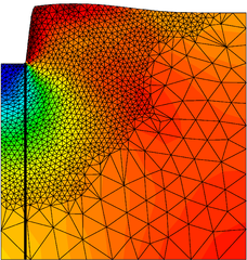 Draft Content 325409517-monograph-FirstFooting DefMesh.png