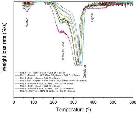 Draft Serrano Martinez 455299282-image9-c.jpg