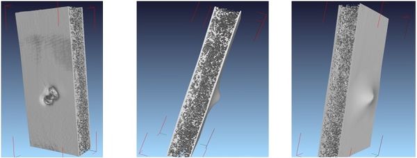 Seddon et al 2019a-image27.jpeg