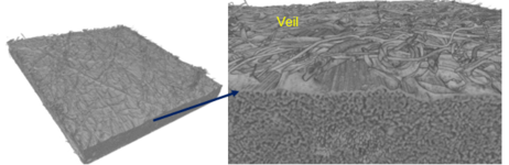 Torres et al 2021b-image8-c.png