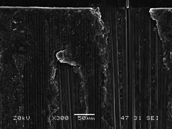 Olay et al 2021a-image13.png