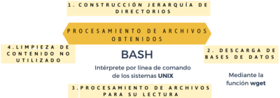 Procesamiento de archivos mediante BASH. Fuente: Elaboración propia.