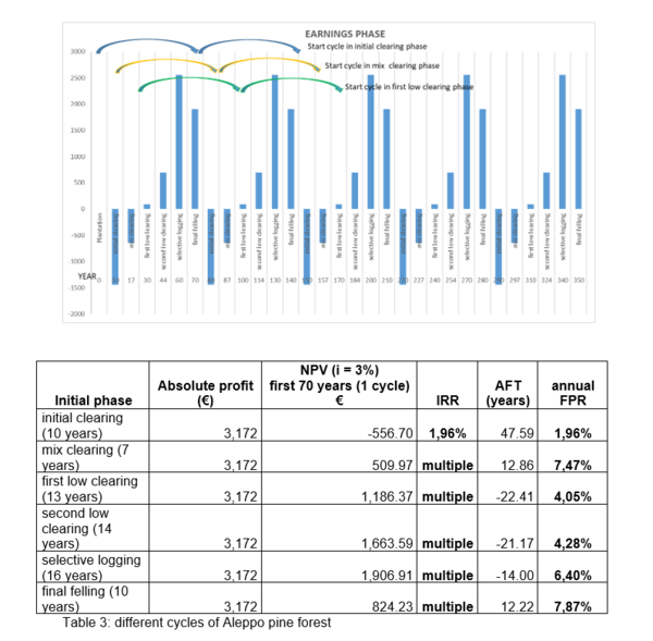 Draft Hornero 783473073-image1.png