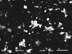 Draft Fernandez-Gonzalez 163885300-image1.png