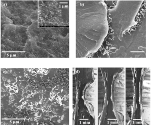 Draft Compuestos 661479207-image8.png