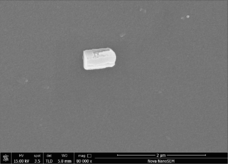 Draft lihong 849542190-image3.png