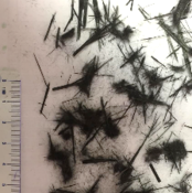 Draft Compuestos 189982422-image5-c.png