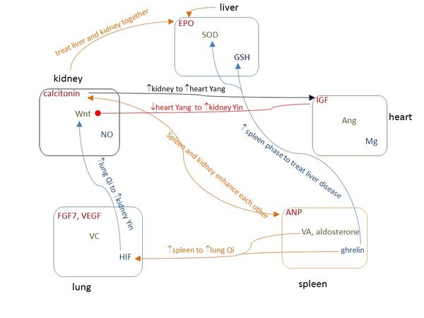 Draft Liu 252615742-image3.jpeg