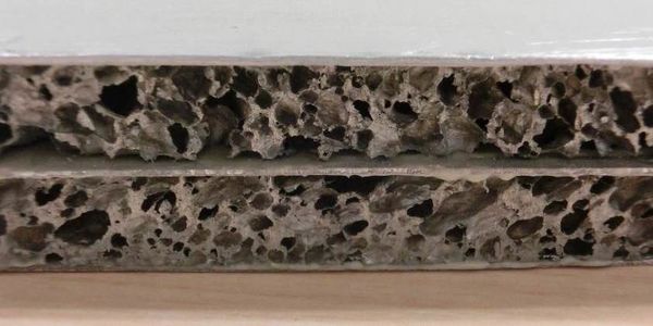 Seddon et al 2019a-image6-c.jpeg