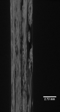 Draft Haldar 892049790-image6-c.png