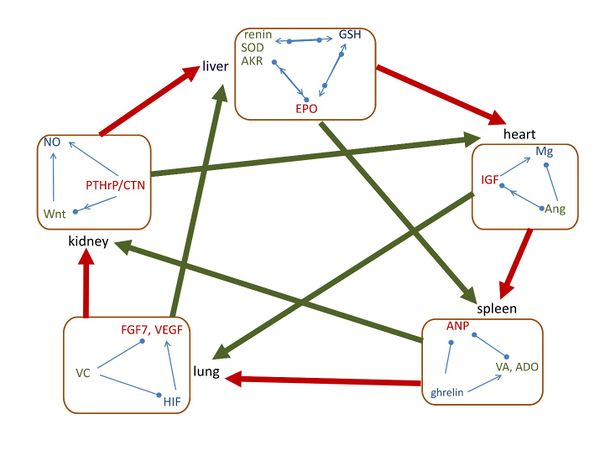 Draft Liu 788270338-image1.jpeg