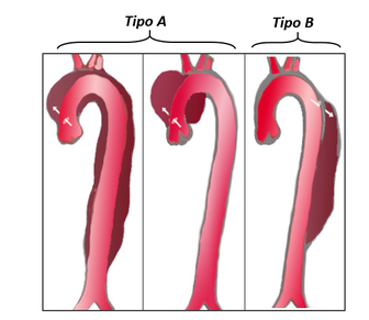 Draft Samper 411837410-image39.png