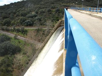 Draft Salazar 270767871-image1.jpeg