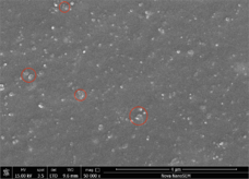 Draft lihong 849542190-image5.png