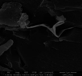 Garcia-Martinez et al 2019a-image5.png