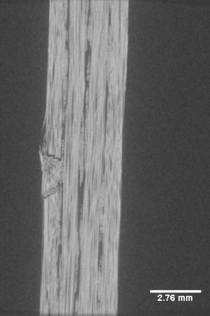 Haldar et al 2020a 8138 test-image3-c.png