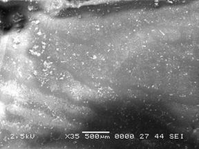 Valea et al 2019b-image8.jpeg