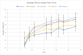 Draft Melika 433147401-image14-c.png