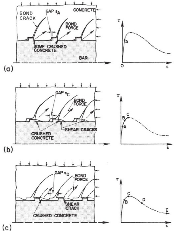 Draft Samper 511491986-image67-c.png
