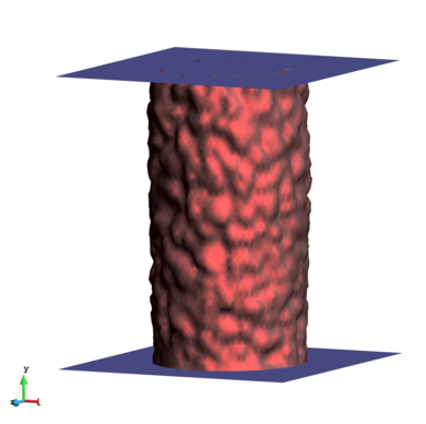 View of the membrane