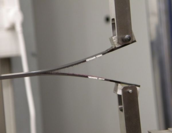 Nieto-Leon et al 2019a-image22.jpeg