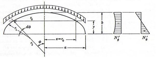 Evolución de N'ϕ y N'θ a lo largo de y.