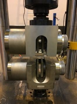 Draft Luna 627311235-image15.jpeg