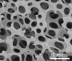 Draft Cuesta Collada 539330718-image1-c.jpeg