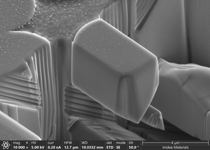 Draft Mocerino 876475071-image1.png