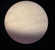 Draft Asenjo 177809197-image6-c.jpeg