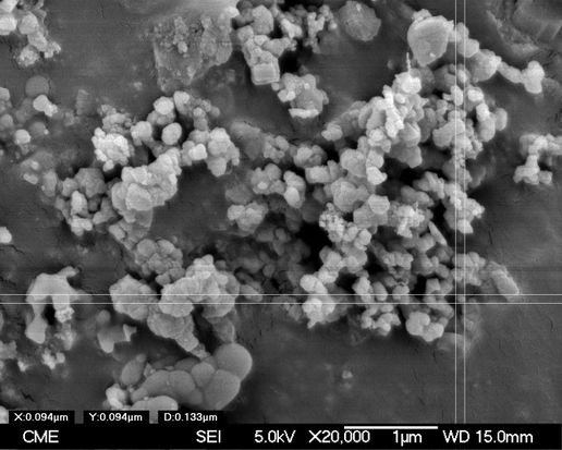 Draft Compuestos 500994286-image5.jpeg