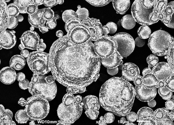 Vazquez et al 2021a-image5-c.png