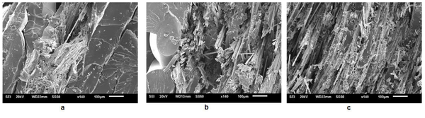 Draft Compuestos 418276917-image8.png