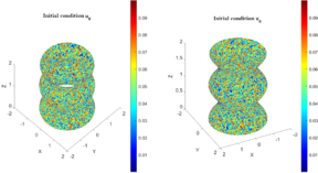 Draft Gonzalez Mena 552017544-BVAM Cilindro t0.png